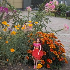 Яркие краски в дождливый день