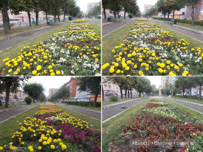 Городские зарисовки (часть четвёртая)