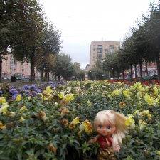 Городские зарисовки (часть четвёртая)