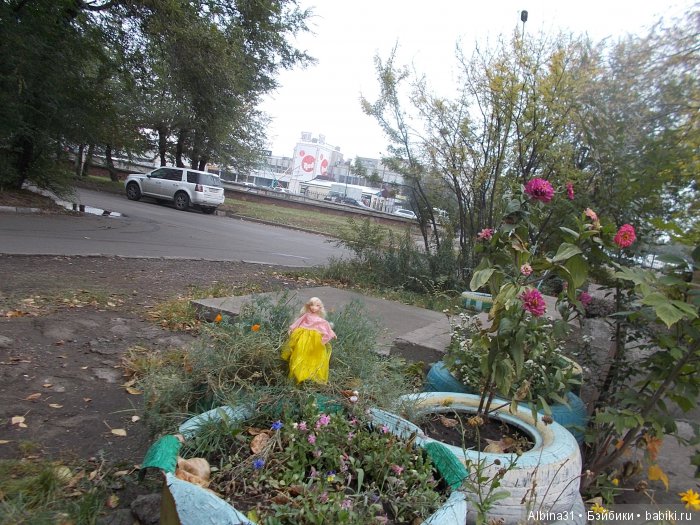 Городские зарисовки (серия пятая) | Бэйбики Городские зарисовки (серия пятая)