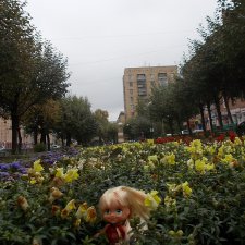 Городские зарисовки (серия пятая)