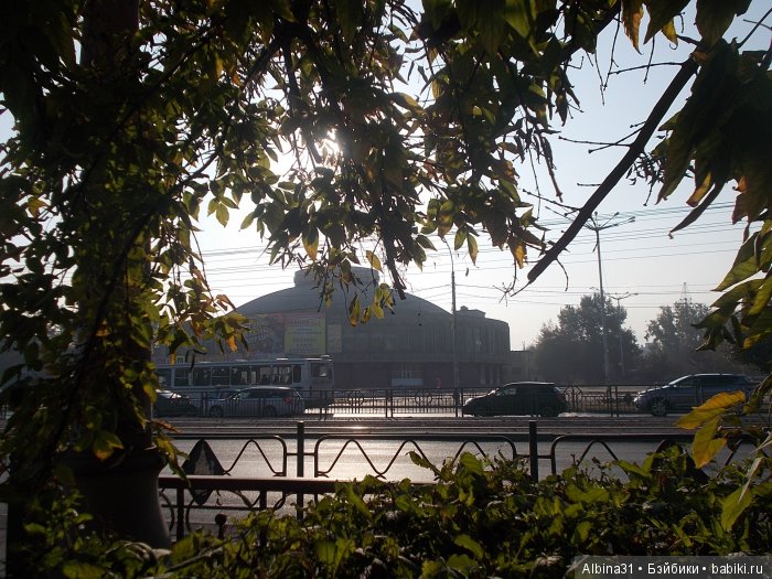 Городские зарисовки (шестая часть ) (фото 4)