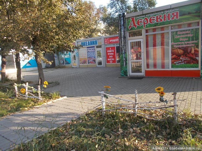 Городские зарисовки (шестая часть )