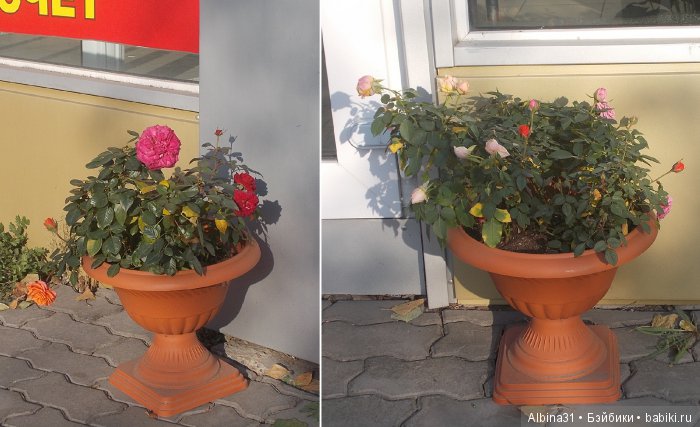 Городские зарисовки (шестая часть )