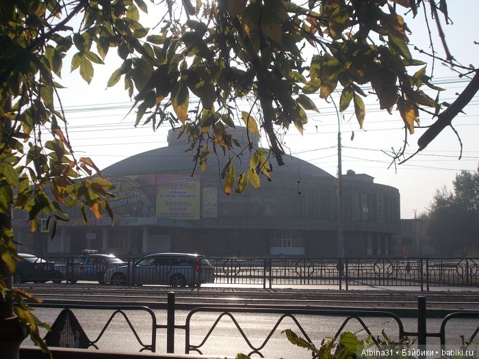 Городские зарисовки (шестая часть ) (фото 5)