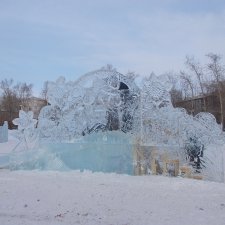 Ёлки городские