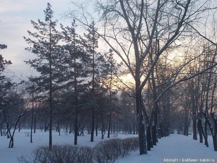 Мокси на прогулке | Бэйбики Мокси на прогулке — Куклы Bratz (Братц) и Moxie Girlz: MGA