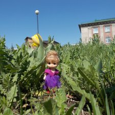 Майские денёчки