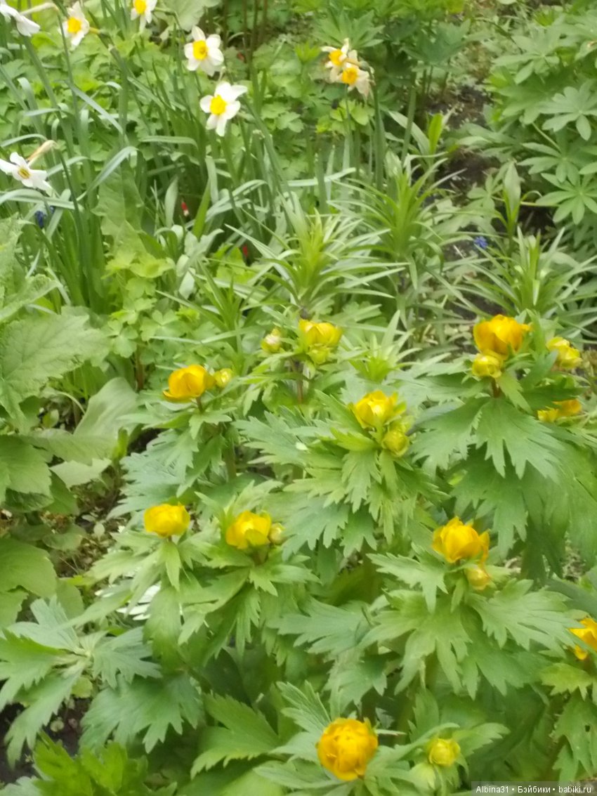 Майские денёчки — Болталка и разговоры обо всем: жизнь