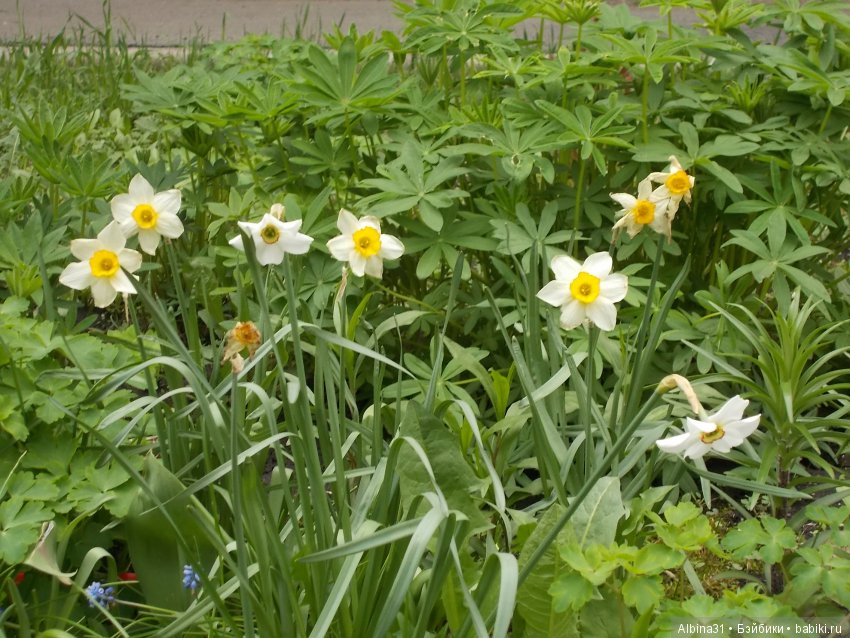 Майские денёчки — Болталка и разговоры обо всем: жизнь