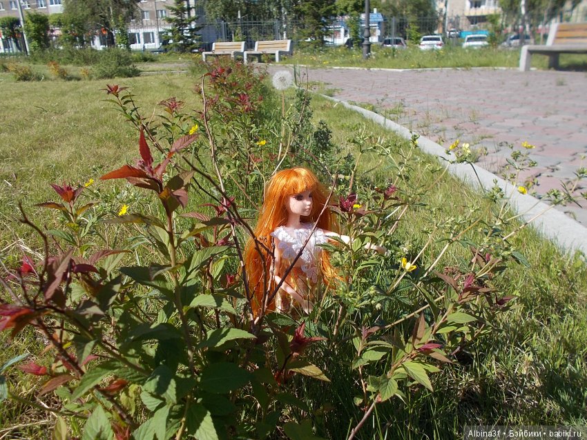 Просто так... Июнь | Бэйбики Просто так... Июнь — Болталка и разговоры обо всем: жизнь