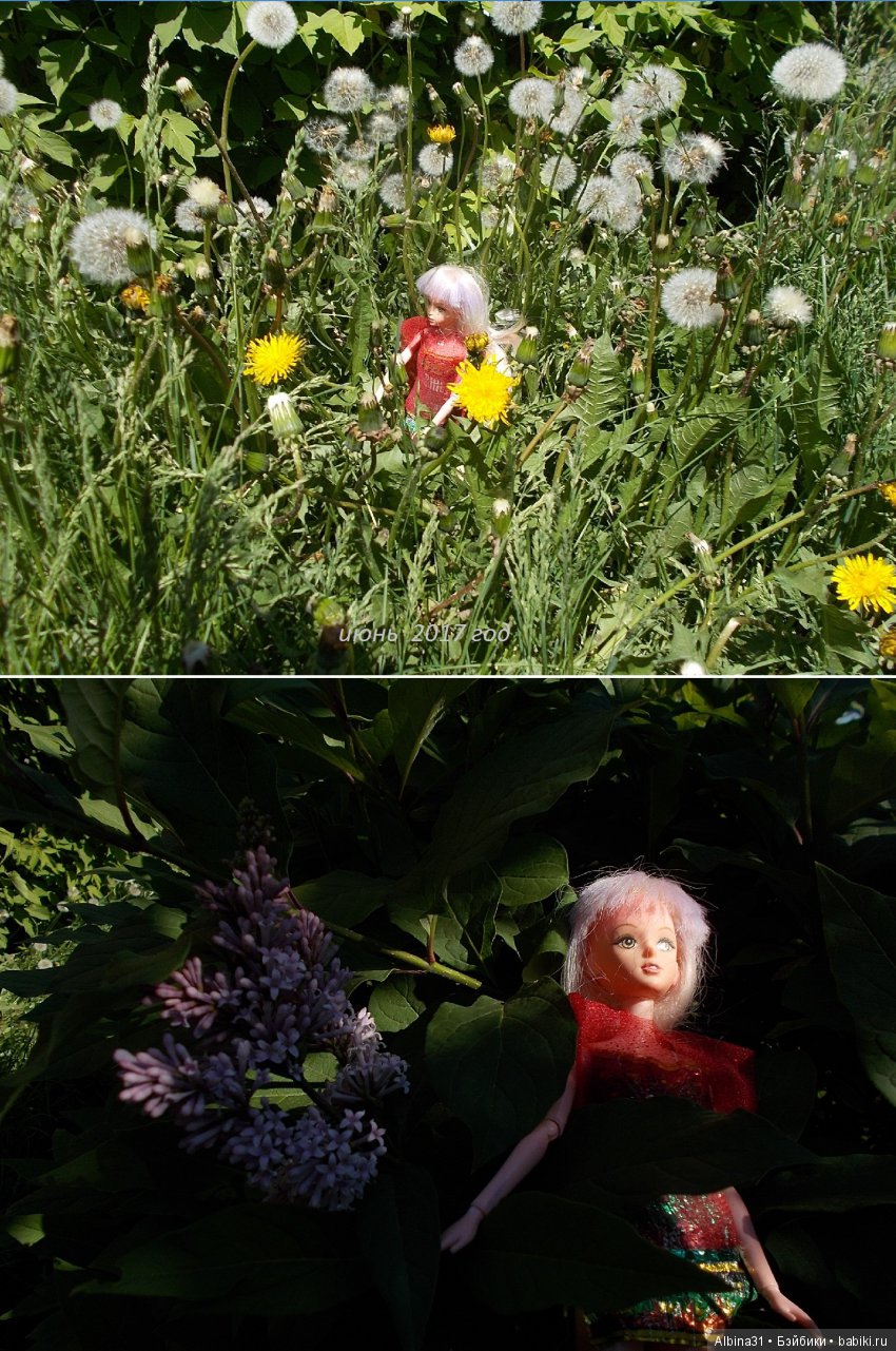 Просто так... Июнь | Бэйбики Просто так... Июнь — Болталка и разговоры обо всем: жизнь (фото 5)