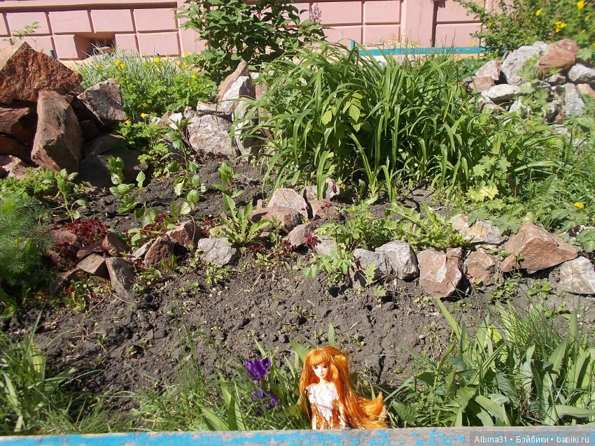 Просто так... Июнь | Бэйбики Просто так... Июнь — Болталка и разговоры обо всем: жизнь