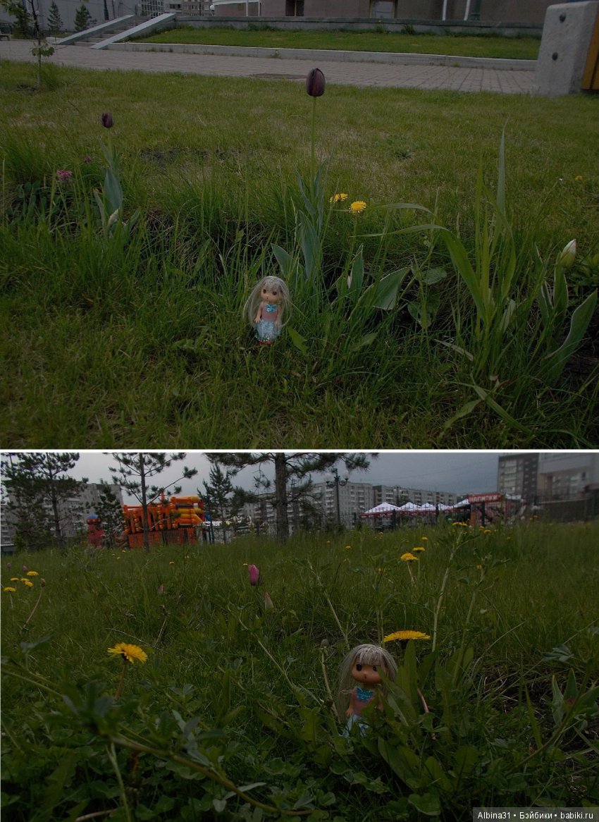 Просто так... Июнь | Бэйбики Просто так... Июнь — Болталка и разговоры обо всем: жизнь (фото 6)