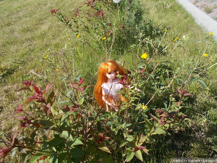 Просто так... Июнь | Бэйбики Просто так... Июнь — Болталка и разговоры обо всем: жизнь