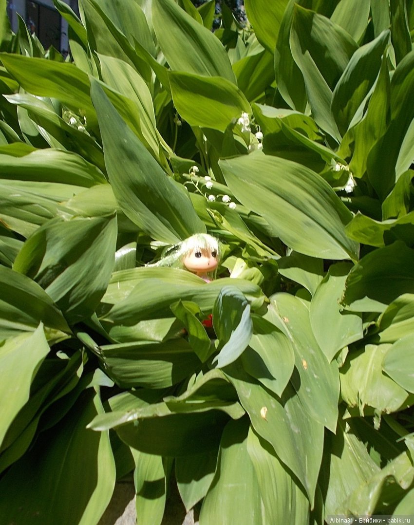 Просто так... Июнь | Бэйбики Просто так... Июнь — Болталка и разговоры обо всем: жизнь (фото 10)