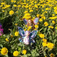 Просто так... Июнь