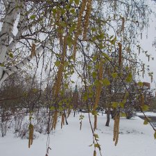 Городские зарисовки, повтор. Убрано из дневника