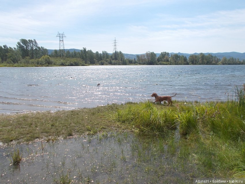 Городские зарисовки. Вот и август