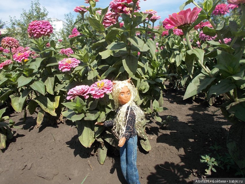 Городские зарисовки. Вот и август