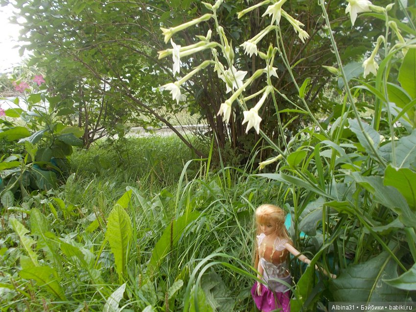 Городские зарисовки. Вот и август (фото 3)