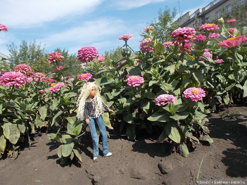 Городские зарисовки. Вот и август (фото 10)