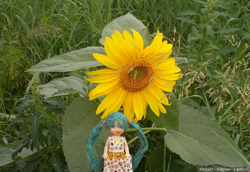 Городские зарисовки. Вот и август