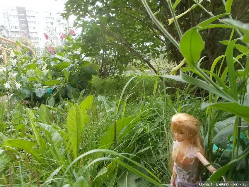 Городские зарисовки. Вот и август (фото 4)