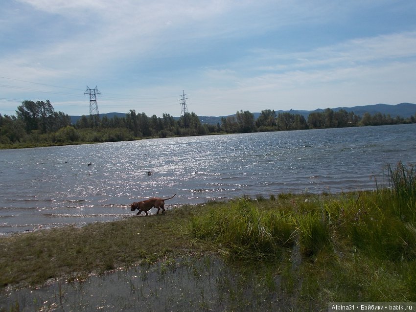 Городские зарисовки. Вот и август