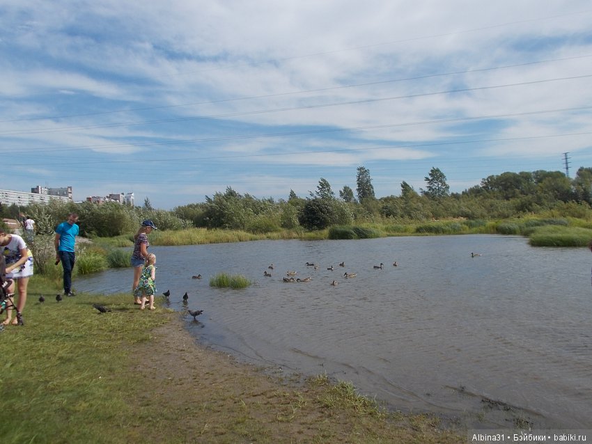 Городские зарисовки. Вот и август