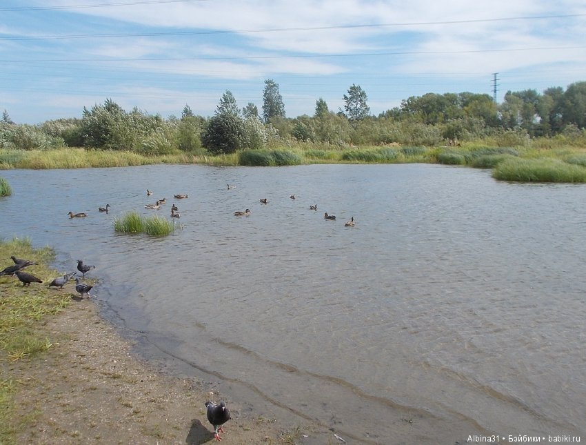 Городские зарисовки. Вот и август