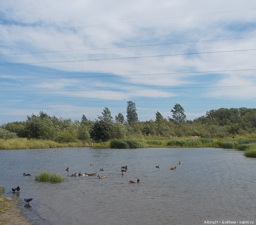Городские зарисовки. Вот и август