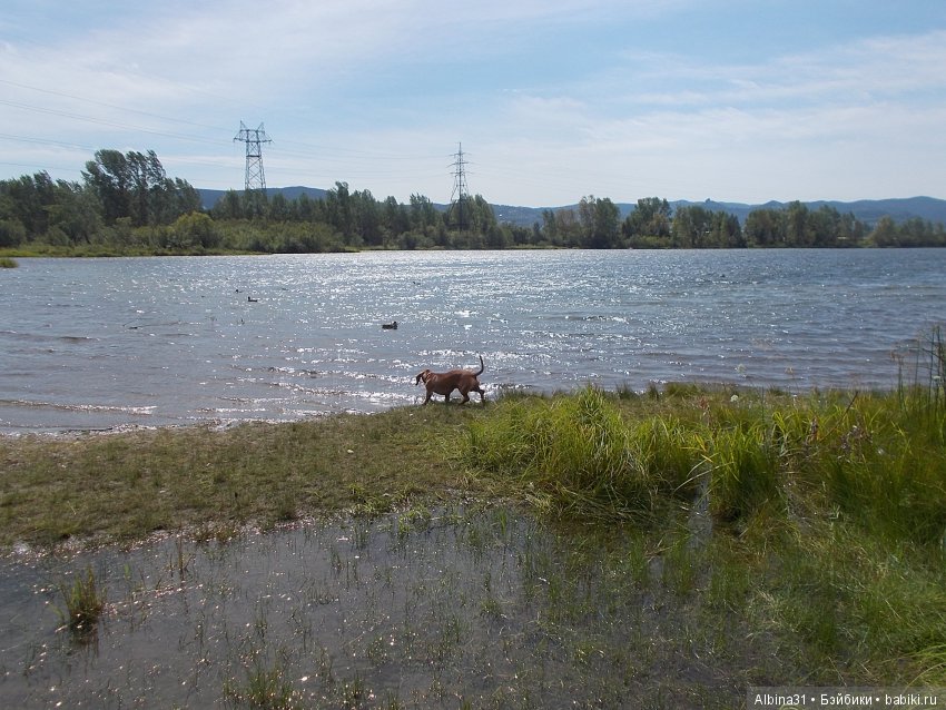 Городские зарисовки. Вот и август