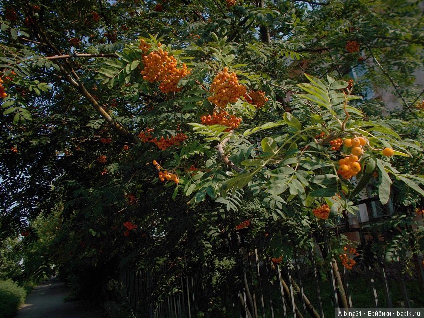 Городские зарисовки. Вот и август
