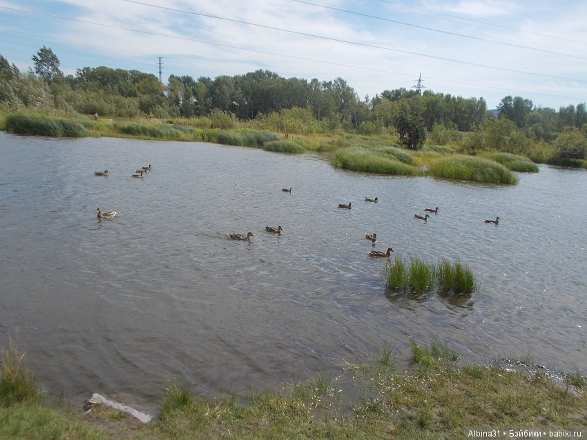 Городские зарисовки. Вот и август
