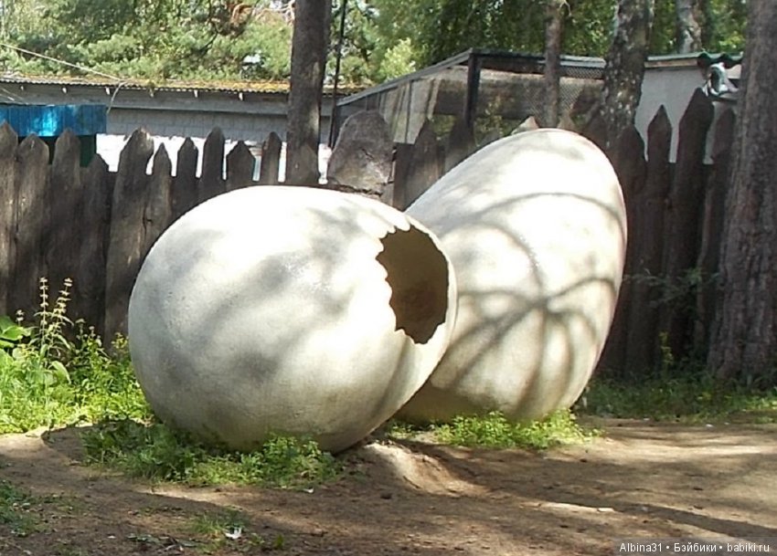 Где то... В тёмно синем лесу (фото 4)