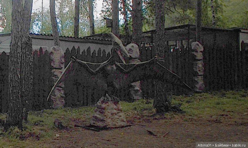 Где то... В тёмно синем лесу (фото 9)