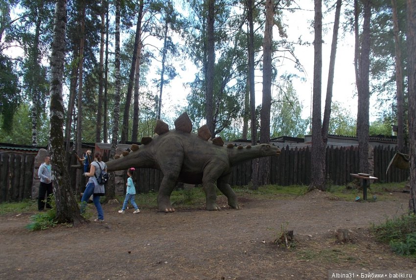 Где то... В тёмно синем лесу (фото 5)