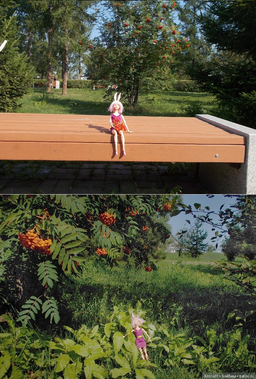 В парк! Все в парк — Болталка и разговоры обо всем: жизнь (фото 4)