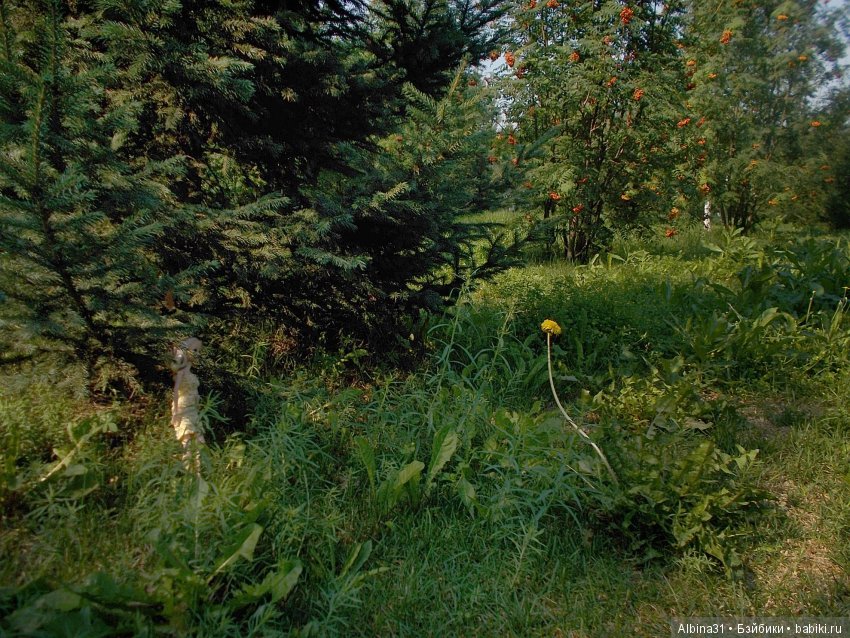 В парк! Все в парк — Болталка и разговоры обо всем: жизнь (фото 6)