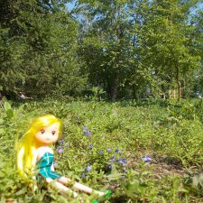 В парк! Все в парк!