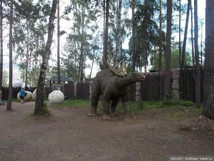 Где то... В тёмно синем лесу (фото 6)