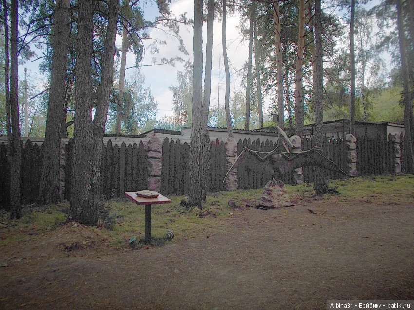 Где то... В тёмно синем лесу