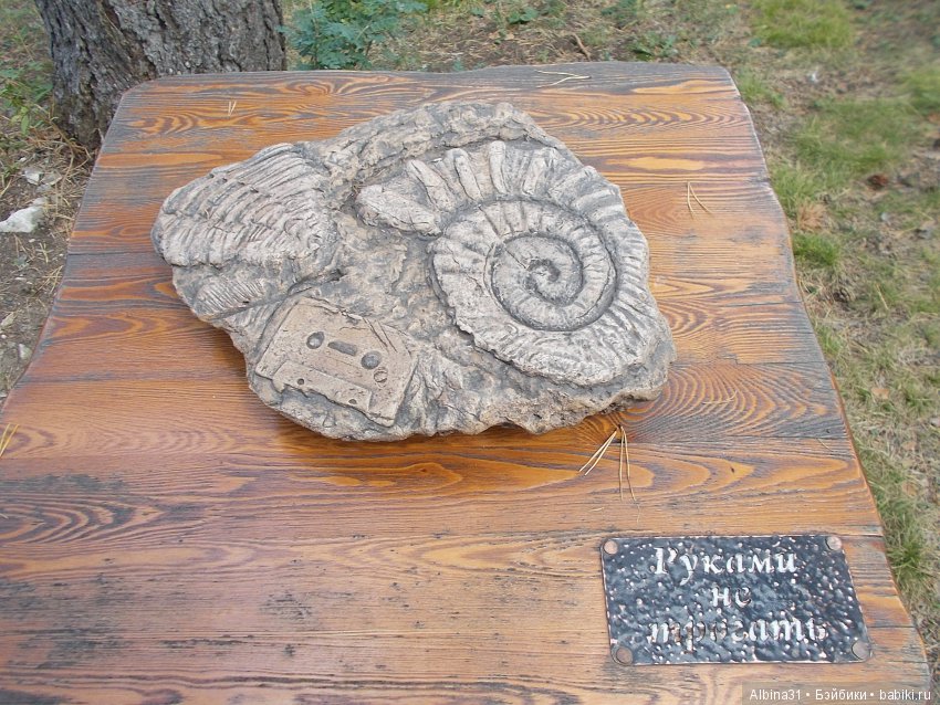 Где то... В тёмно синем лесу