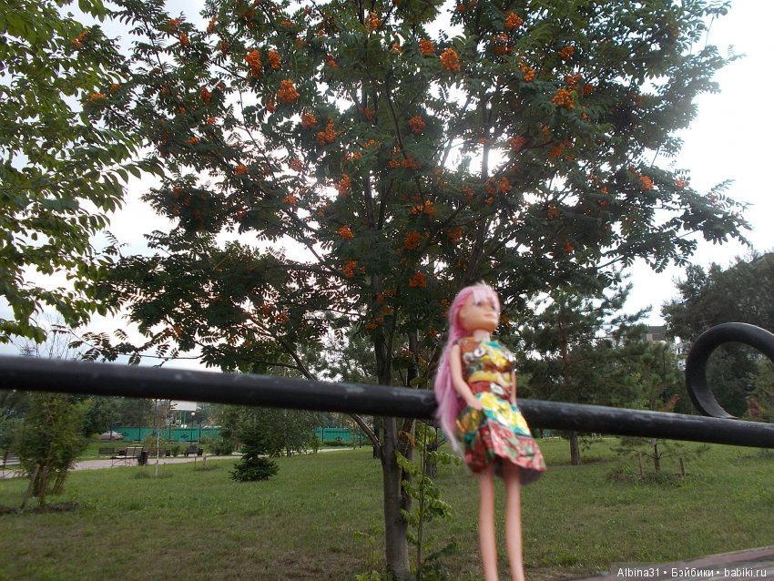 В парк! Все в парк — Болталка и разговоры обо всем: жизнь