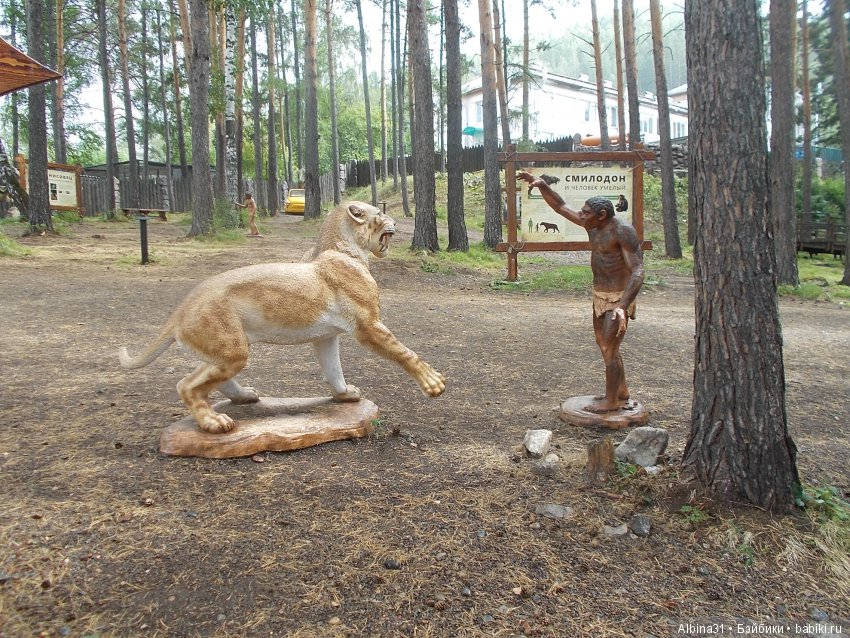 Где то... В тёмно синем лесу