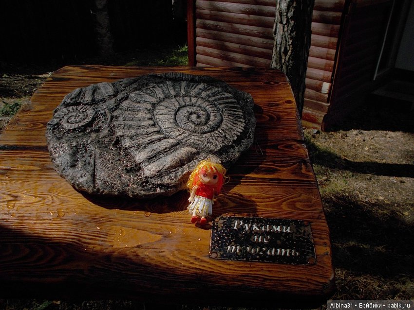 Где то... В тёмно синем лесу