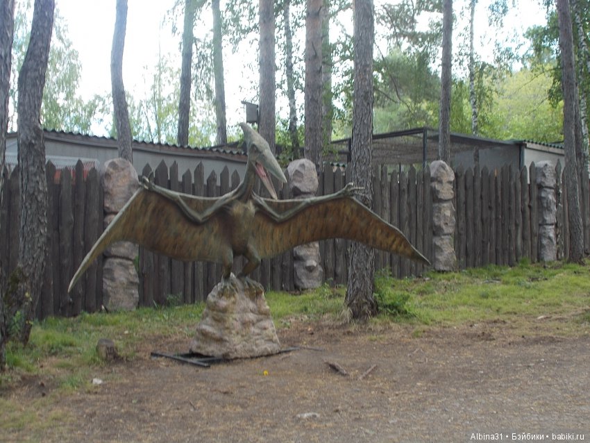 Где то... В тёмно синем лесу (фото 8)