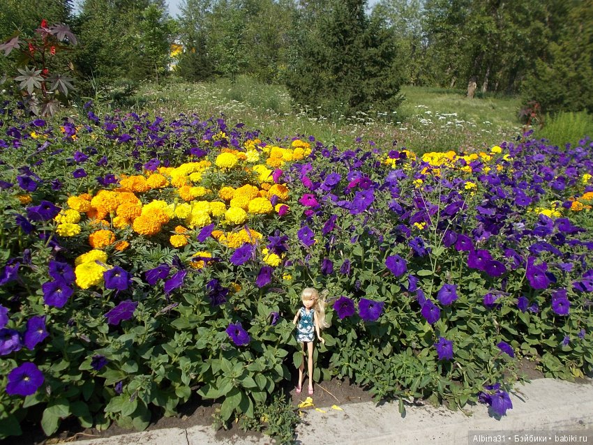 В парк! Все в парк — Болталка и разговоры обо всем: жизнь