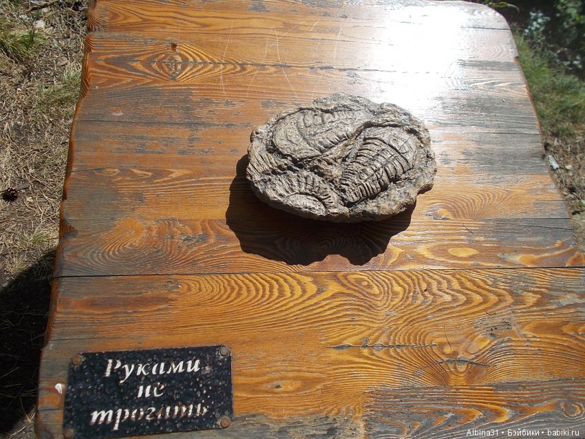 Где то... В тёмно синем лесу